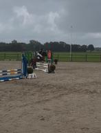 Super leuke sportpony te koop!, Dieren en Toebehoren, Pony's, Ruin, Springpony, L, B pony (1.17m tot 1.27m)