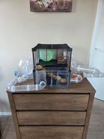 Leuke hamster kooi te koop., Dieren en Toebehoren, Kooi, Minder dan 75 cm, Hamster, Ophalen