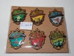 Efteling pin serie Jubileum 2006., Ophalen, Zo goed als nieuw, Button of Speldje
