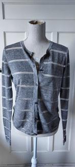 Mooi grijs zilver vestje van GUSTAV        maat 38, Kleding | Dames, Maat 38/40 (M), Verzenden, Gustav, Zo goed als nieuw