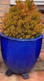 Grote geglazuurde bloempotten blauw een sets, Tuin en Terras, Bloempotten, 25 tot 40 cm, Gebruikt, Minder dan 40 cm, Overige vormen