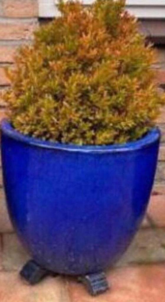 Grote geglazuurde bloempotten blauw een sets, Tuin en Terras, Bloempotten, Gebruikt, Terracotta, Binnen, Balkon, Tuin, Minder dan 40 cm
