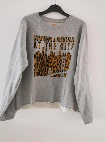 ZARA sweater mt. M beschikbaar voor biedingen