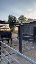 Mooie stalling met weide, Dieren en Toebehoren, Stalling en Weidegang, Stalling