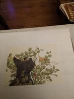 DIET. VAN BEEK.  KAT EN MUIS, Ophalen of Verzenden, 1980 tot heden, Overige thema's