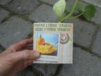 pompoenplanten, Tuin en Terras, Planten | Tuinplanten, Volle zon, Groenteplanten, Eenjarig, Ophalen of Verzenden