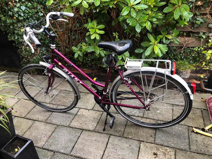 Moet Weg !!!Giant Carrielet Damesfiets, Fietsen en Brommers, Fietsen | Dames | Damesfietsen, Gebruikt, Giant, (Extra) lage instap