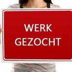Werk gezocht!, Overige vormen