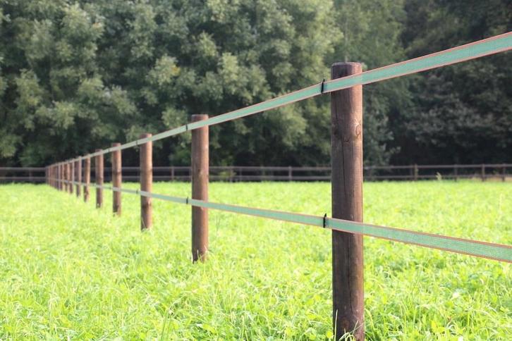 9. Schriklint | lint omheining | paarden afrastering, Dieren en Toebehoren, Stalling en Weidegang, Weidegang, Toebehoren, 4 paarden of pony's of meer
