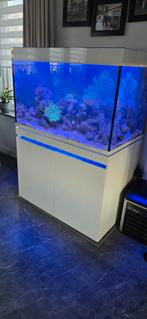 Eheim 330 zeewateraquarium, Ophalen, Zo goed als nieuw, Gevuld zeewateraquarium