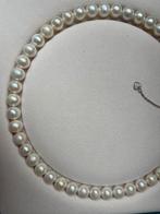 Natuurlijke parelketting, Ophalen of Verzenden, Nieuw, Wit, Zilver
