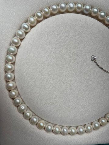 Natuurlijke parelketting beschikbaar voor biedingen
