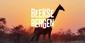 Vier toegangskaarten Safariepark Beekse Bergen! beschikbaar voor biedingen