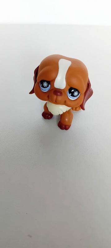 Leuke Littlest Pet Shop dog beschikbaar voor biedingen