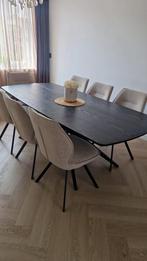 Complete eethoek: eettafel 200x100cm & 8 eetkamerstoelen, Huis en Inrichting, Tafels | Eettafels, Ophalen, Zo goed als nieuw, 200 cm of meer