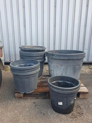 Grote kweek potten beschikbaar voor biedingen