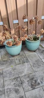 Plantenpot, Tuin en Terras, Ophalen, Rond, Kunststof, 30 tot 60 cm