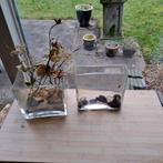 Glazen accubak vaas onbeschadigd 17x17 en 20x6, Overige kleuren, Ophalen of Verzenden, Minder dan 50 cm, Glas