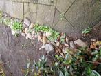Keien en groten stenen, Tuin en Terras, Grind, Keien en Split, Ophalen of Verzenden, Gebruikt, Overige materialen