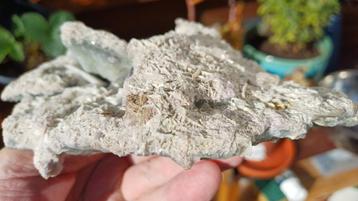 202523 Bariet op Fluoriet (groen)zicht mine Fontsante France beschikbaar voor biedingen