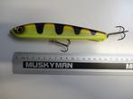 Kunstaas: Storm Flat Stick Glider 16 Jerkbaits, Verzenden, Gebruikt, Overige typen