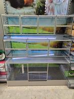 Knaagdierstelling, Dieren en Toebehoren, Knaagdieren en Konijnen | Hokken en Kooien, Ophalen, Hok, 110 cm of meer, Gebruikt
