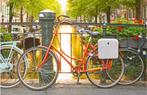 Princess traveler bicycle suitcase, Ophalen, Nieuw, Princess Traveler