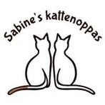 Kattenoppas Joure en Heerenveen, Diensten en Vakmensen, Dieren | Katten | Verzorging, Oppas en Les, Particuliere oppas