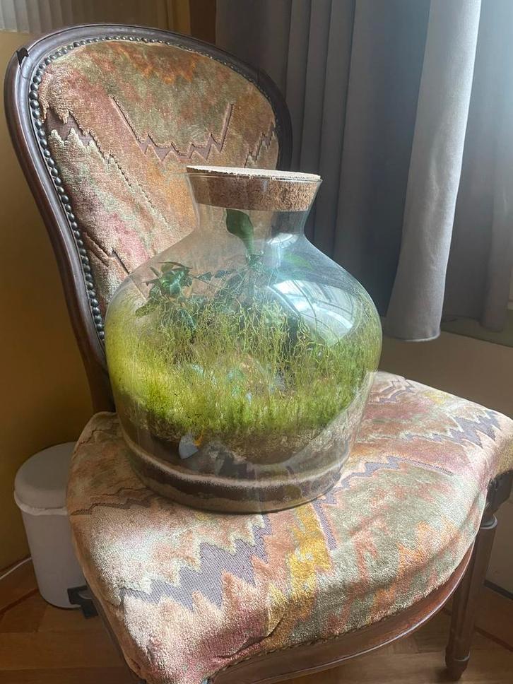 Prachtige Biotoop in Goede Staat, Tuin en Terras, Tuinstekers, Zo goed als nieuw, Ophalen