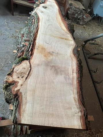 MOOIE EIKEN STAM 80/90x250x beschikbaar voor biedingen