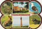 SCHIERMONNIKOOG Uil Konijn Meeuw Vuurtoren Zeehond Stans, Verzamelen, Ansichtkaarten | Nederland, Gelopen, 1960 tot 1980, Waddeneilanden