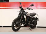 DUCATI DUCATI SCRAMBLER ICON (bj 2025), 2 cilinders, Bedrijf, Meer dan 35 kW, Overig