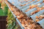 Drs schoonmaakdiensten reiniging en leging  van uw dakgoten, Tuin en Terras, Overige Tuin en Terras, Ophalen of Verzenden