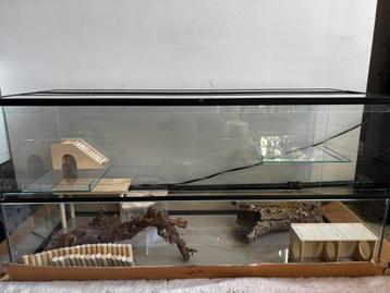Glazen terrarium 100x40x50 cm + inrichting beschikbaar voor biedingen