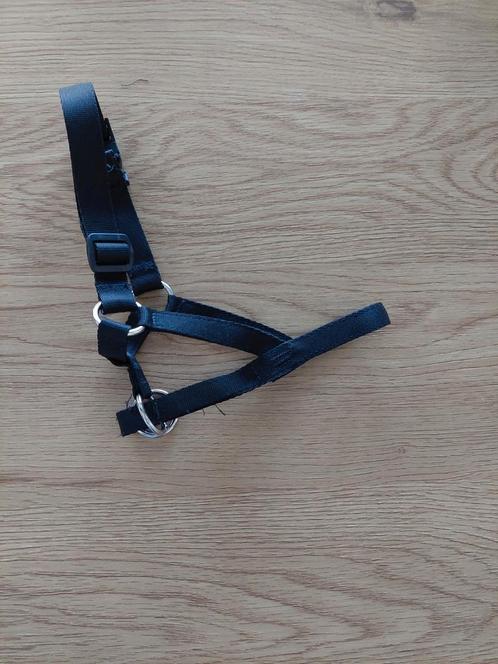 Gentle leader voor de hond, Dieren en Toebehoren, Hondenhalsbanden en Penningen, Nieuw, Ophalen of Verzenden