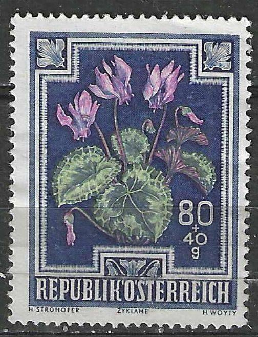 Oostenrijk 1948 - Yvert 729 - Cyclamen (ZG), Verzenden, Postfris