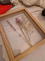 Gedroogde bloemen in lijst, Ophalen of Verzenden, Zo goed als nieuw
