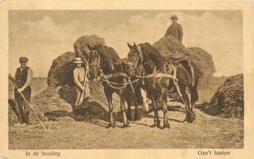 (300-308-017) In de Hooiing beschikbaar voor biedingen