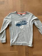 Napapijri maat 152 Zo goed als nieuw, Ophalen, Zo goed als nieuw, Jongen of Meisje, Trui of Vest