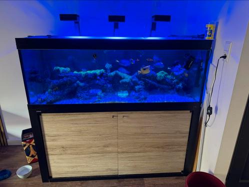 Leeg aquarium giesemann te koop 160cm, Dieren en Toebehoren, Vissen | Aquaria en Toebehoren, Zo goed als nieuw, Leeg aquarium