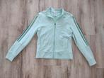 Prachtig lichtgroen vest van Adidas, maat 36. Sportvest., Adidas, Ophalen of Verzenden, Onb, Groen