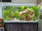 Aquarium  77x45x40 cm. Met meubel van 87 cm., Ophalen, Gebruikt, Gevuld zoetwateraquarium