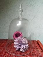 Brocante glazen stolp, Ophalen of Verzenden, Zo goed als nieuw