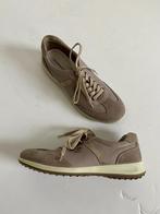 G485 Nieuw: Salamander maat 36 sneakers gympen schoenen, Kleding | Dames, Schoenen, Beige, Nieuw, Ophalen of Verzenden, Sneakers of Gympen