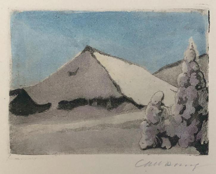 Mooie en betaalbare kunst v/h Grafiekkabinet, Antiek en Kunst, Kunst | Etsen en Gravures, Verzenden