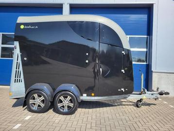 Super Chique Bücker Paardentrailer Careliner M gara beschikbaar voor biedingen
