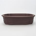 bonsaischaal 26x21x6cm, nieuw en ongebruikt, Ophalen of Verzenden, Volle zon, Overige soorten, Minder dan 100 cm