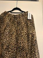 Nieuwe glitter panterbroek, Maat 38/40 (M), Bruin, Nieuw, Ophalen of Verzenden