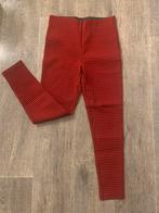 Zara dikke rode legging met printje - maat M, Kleding | Dames, Leggings, Maillots en Panty's, Zara, Maat 40/42 (M), Ophalen of Verzenden