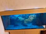 Aquarium met onderkast inclusief vissen en accessoires teab, Dieren en Toebehoren, Vissen | Aquaria en Toebehoren, Ophalen, Gebruikt